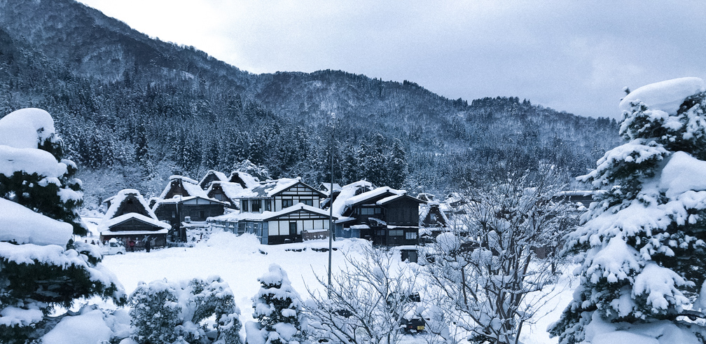 Japan Winter Wonderland. Photo: Ingrid